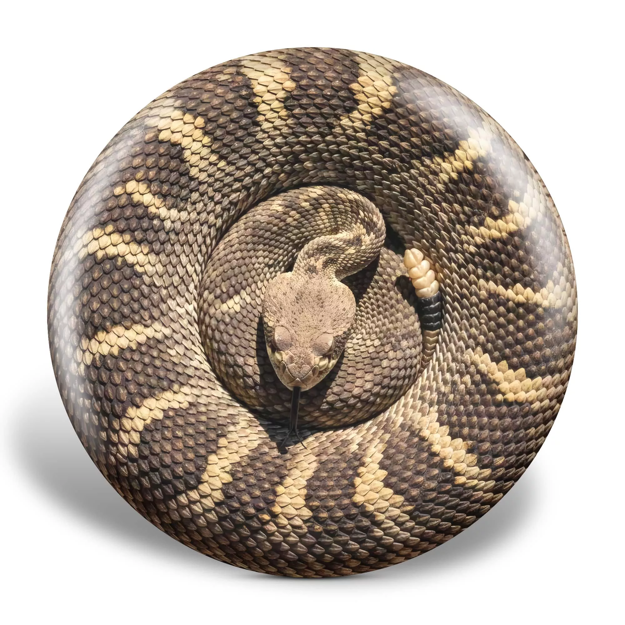 Custom Snake 2.0 Illusion Disc
