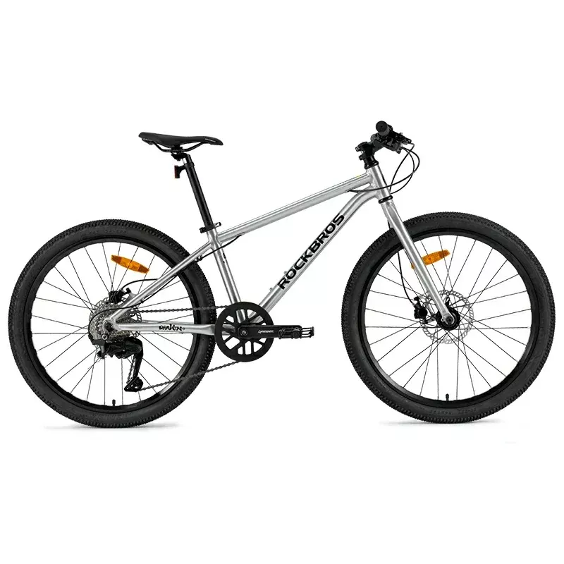 Darwin IV 24-Inch Kids Bike