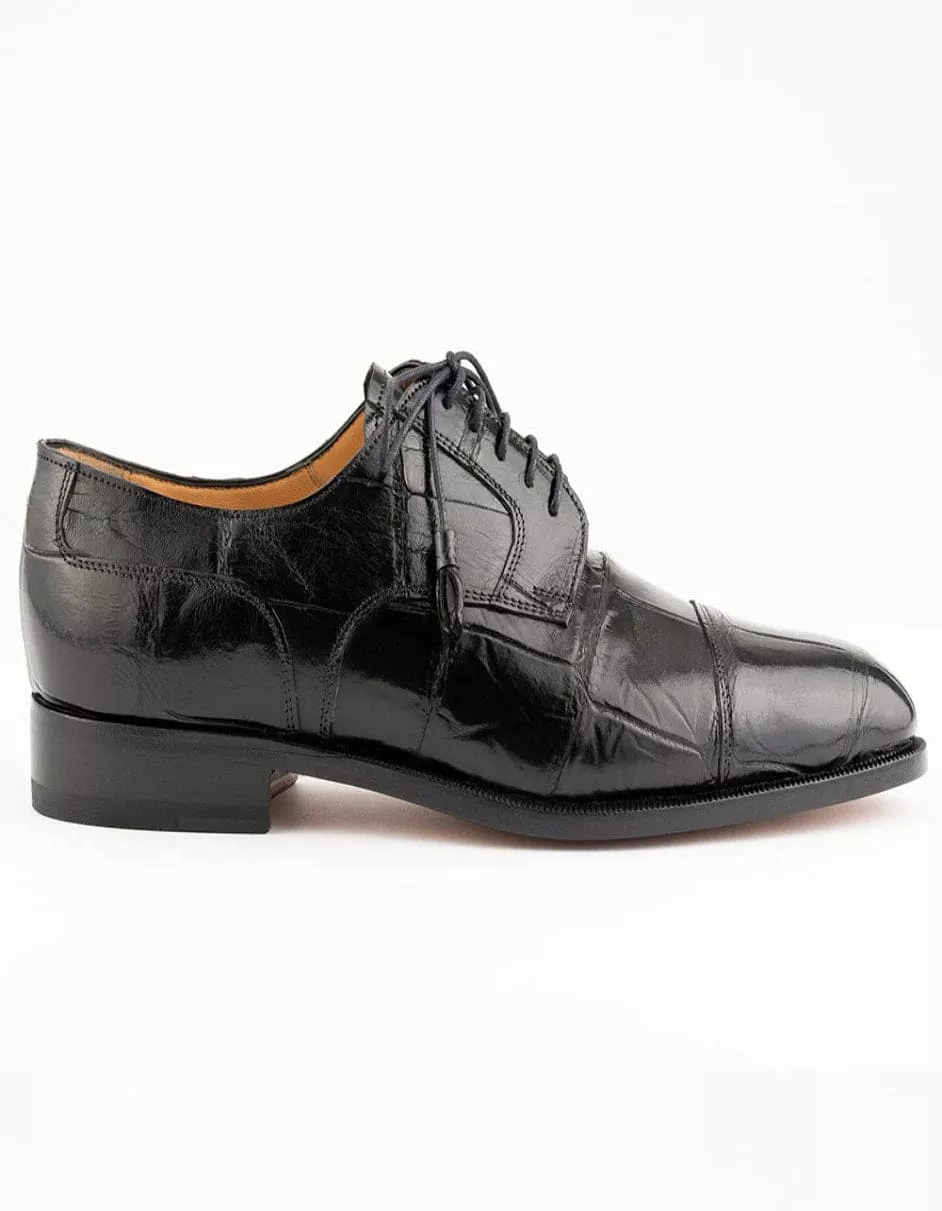 Ferrini Belly Alligator 4288