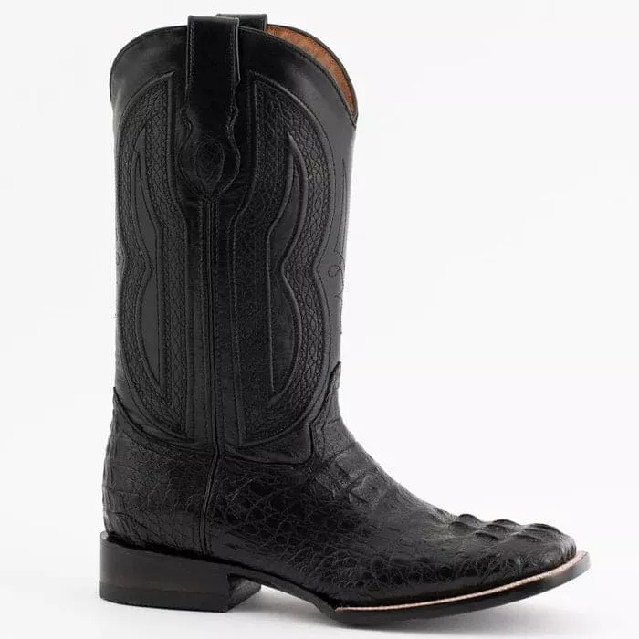Ferrini Hornback Caiman Dakota