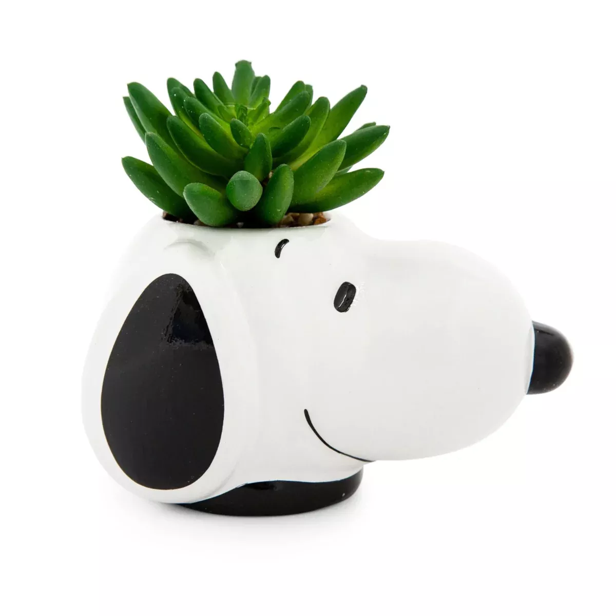 Peanuts - Snoopy Face Ceramic Mini Planter with Artificial Succulent