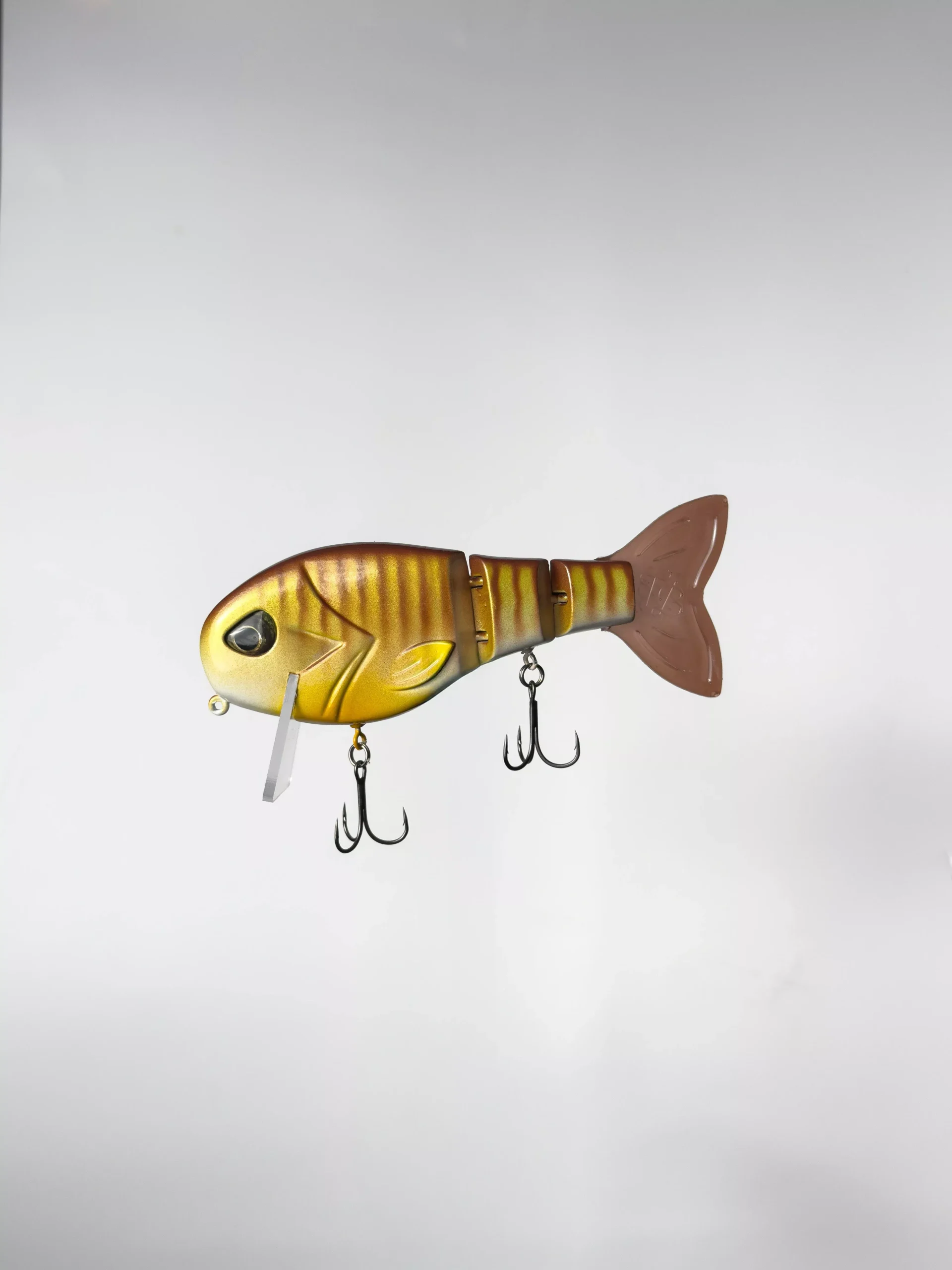 "Summer Gill" WakeWalker